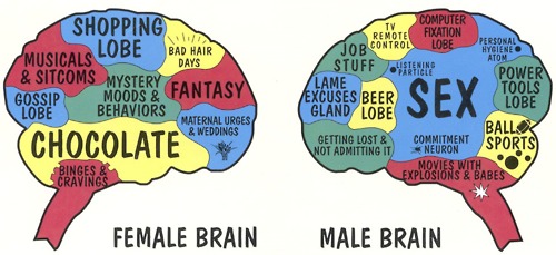 female-brain-male-brain