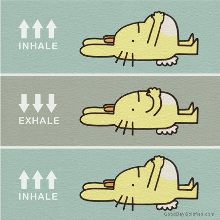 how_to_belly_breathe