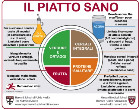 piatto sano.jpg