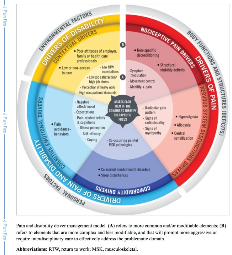 PubMed Central, Figure 1: J Pain Res. 2017; 10: 2373–2385. Published online 2017 Oct 3. doi:  10.214